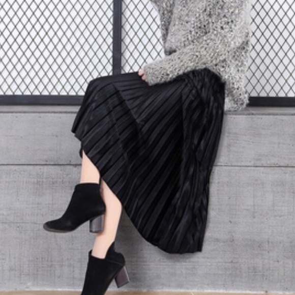 Velvet Pleated Skirt - Picture 6 of 11